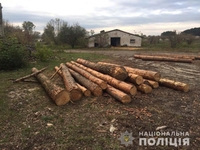 У чоловіка на Рівненщині поліцейські виявили незаконний склад деревини (ФОТО)
