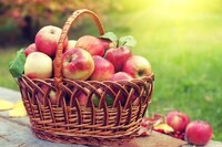19 серпня - Яблучний Спас: звичаї, прикмети та заборони свята