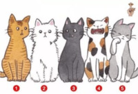 Тест із точністю понад 90%: Як вас бачать інші?  