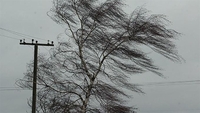 Понад 50 населених пунктів Рівненщини уночі знеструмив шквальний вітер 