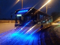 Рівним курсував різдвяний тролейбус (ФОТО/ВІДЕО)