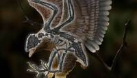 В Китаї знайшли горобця з головою динозавра (ФОТО)