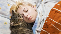 ТОП-3 причини, чому коти лягають господареві на голову