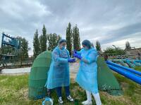 «В стічних водах можна побачити справжню картину»: На Рівненщині виявили мутований SARS-CoV-2 (ФОТО)