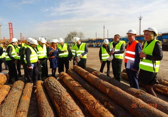 Підприємство "Українські лісопильні" в Костополі