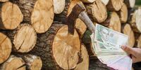 Дрова тепер продають за новою ціною: яка вартість та де найдешевші