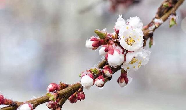 Фото ілюстративне, з відкритих джерел