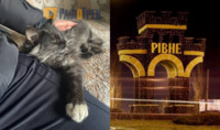 Місто в надійних лапках: на підступах до Рівного блокпост охороняє бойова котиця (ФОТО)
