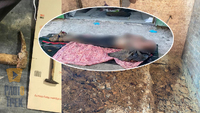 Вбили і залили бетоном у гаражі: на Дніпропетровщині – кримінальні розбірки (ВІДЕО)