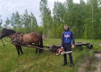 Молодика з бензопилою спіймали у лісі на Рівненщині (ФОТО)