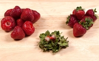  Плодоніжки полуниці корисніші, ніж сама ягода: ТОП-5 рецептів застосування