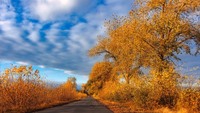 Що треба з'їсти 22 вересня, щоб притягнути гроші та достаток: народні прикмети