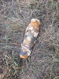 На Рівненщині в озері знайшли артснаряд (ФОТО)