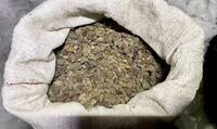 17 кг бурштину знайшли у жителя Рівненщини (ФОТО)