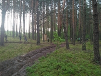 У лісі під Білоруссю кілька діб жили… вихователі (ФОТО)