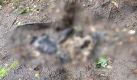 На Рівненщині знайшли людські останки: Це може бути зникла місцева жителька