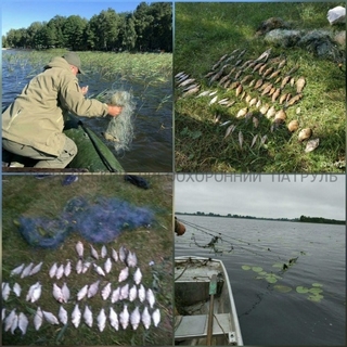Колаж Рибоохоронного патруля у Рівненській області.