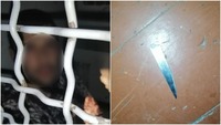«Порізав груди хлопчикові і зламав ніс дівчинці»: на Київщині чоловік з ножем напав на дітей (ФОТО)