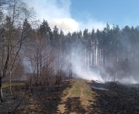«Це страшно!»: на Рівненщині за 10 метрів від села горить ліс (ФОТО)
