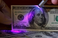 Що буде з доларом в останній тиждень 2023 року: Прогноз  