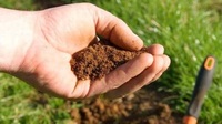 Звичайне «сміття» допоможе перетворити на чорнозем хоч пісок, хоч глину