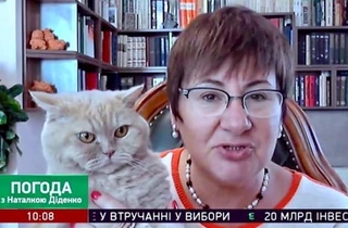 Наталка Діденко та її кіт Апельмон дають прогноз погоди