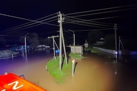 Потоп, обриви  ліній електропередач та повалені дерева: на Рівненщині вирувала стихія (ФОТО)