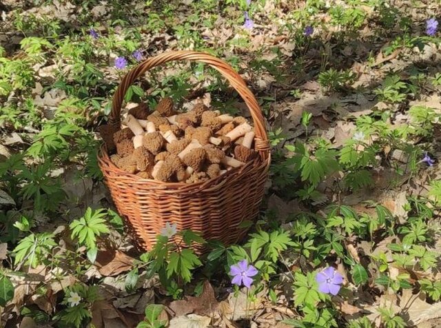 Фото з відкритих джерел