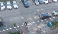 «Неможливо дивитися без сліз»: у Києві мати побачила сина, який стрибнув з даху багатоповерхівки (ФОТО 18+)