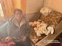 У Радивилові жінка вкрала іграшки із дитячої могили