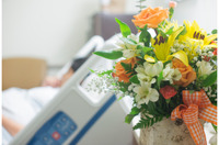 Чому не можна лишати квіти у лікарні: народні прикмети