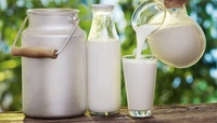 Чи безпечніше молоко споживатимуть рівняни з 1 липня у зв’язку з угодою про Асоціацію з ЄС