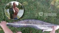 Сом розміром з рибалку: на Рівненщині чоловік упіймав величезну рибину (ФОТО)