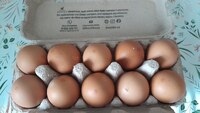 В Україні - дивні ціни на яйця (ФОТО)