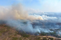 Ліс у вогні: рятувальники Рівненщини показали наслідки лісової пожежі (ВІДЕО)
