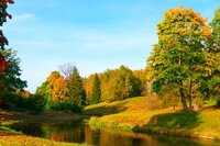 Що потрібно принести в дім 27 серпня, щоб притягнути щастя та удачу: народні прикмети