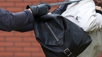 Тернопільський грабіжник і насильник вирвав сумочку у рівнянки 