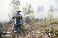 18 годин працюють рятувальники: На півночі Рівненщини горить ліс