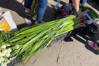 Що робили з лепехою після Трійці: народні прикмети