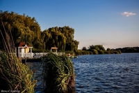 На Басівкутському озері Рівного помітили красу (ФОТО)