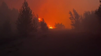 На Київщині приборкують лісову пожежу неподалік Чорнобиля (ФОТО/ВІДЕО)