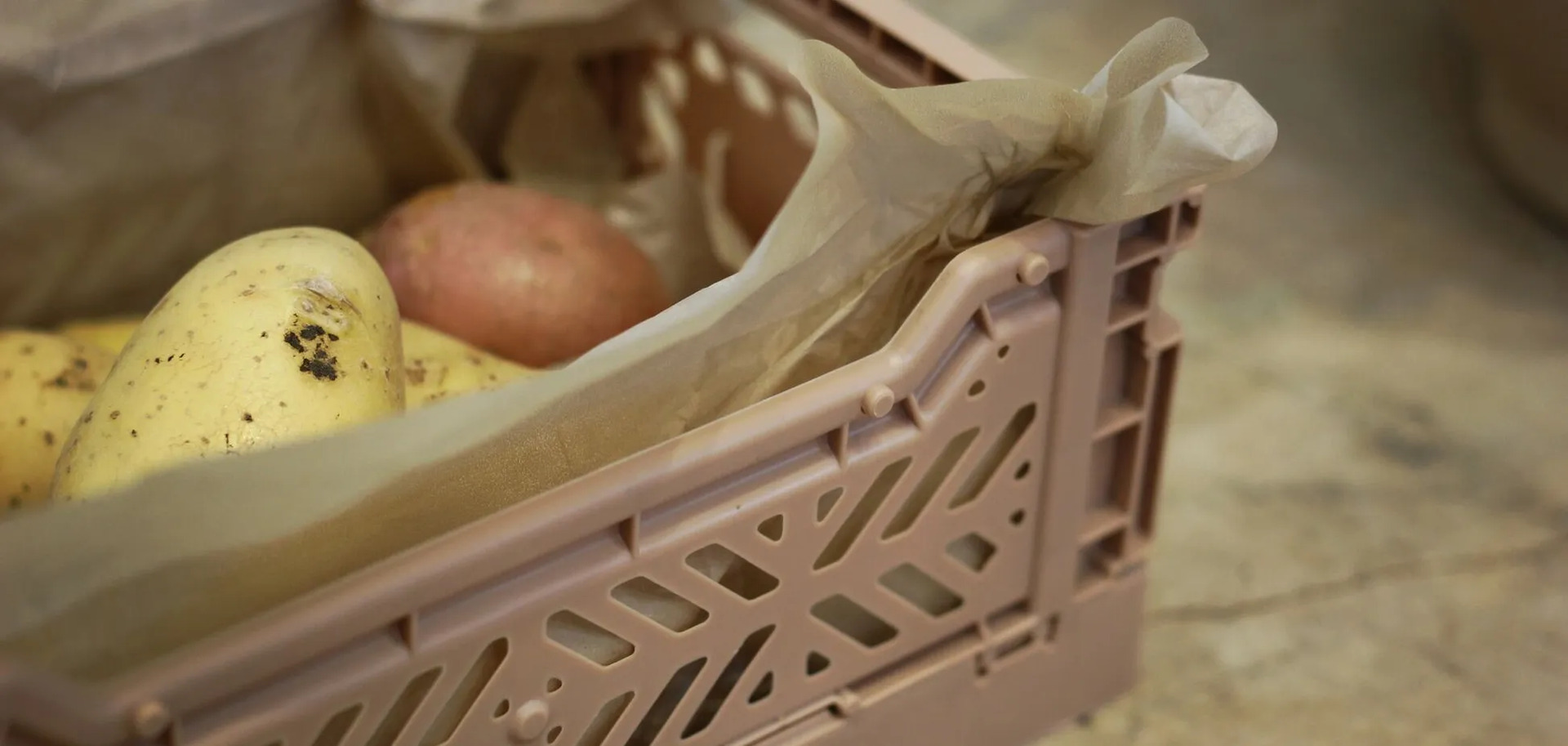 Другий хліб українців починає дорожчати: Скільки зараз коштує картопля