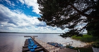 Бездоріжжя до неймовірно красивого озера на Рівненщині (ВІДЕО)