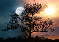 День осіннього рівнодення 2025: прикмети та заборони