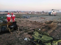 В Ірані розбився український літак. 180 ПАСАЖИРІВ ЗАГИНУЛИ (ВІДЕО) 