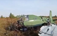 Поблизу Житомира літак зачепився за дерево і розбився (ВІДЕО)