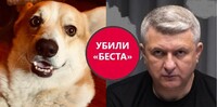 Під Києвом у Романенка сусід убив коргі – пострілом із рушниці серед білого дня (ФОТО)