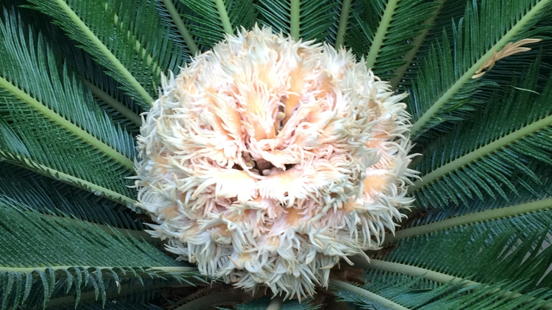 Фото ілюстративне, з відкритих джерел