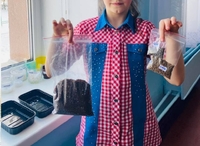 Вирощують та смакують: першокласники на Рівненщині влаштували грядку на підвіконні 
