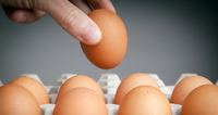 Підвищувати ціни на яйця в Україні більше не будуть. Принаймні до кінця року